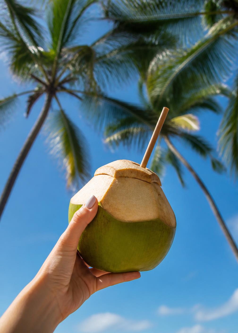 Hand holding a coconut against palm trees