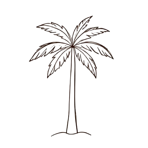 Hand-drawn sketch of a palm tree